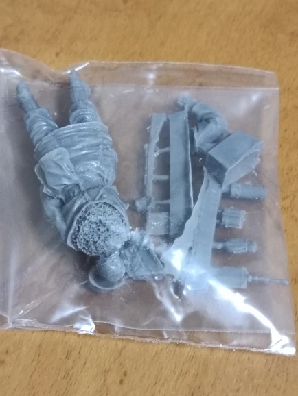 Buyer photo of this resin kit