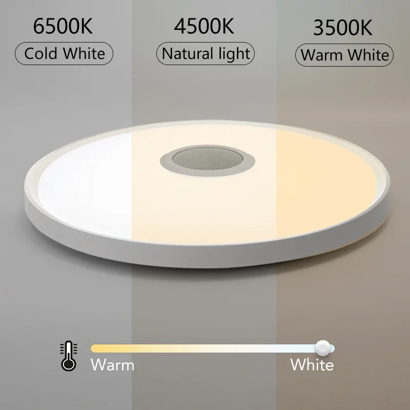 Ceiling Lamps Modern Music Light RGB Dimming 46CM 37CM 30CM Home Lighting Smart Ceiling Lights With Remote Control AC220V