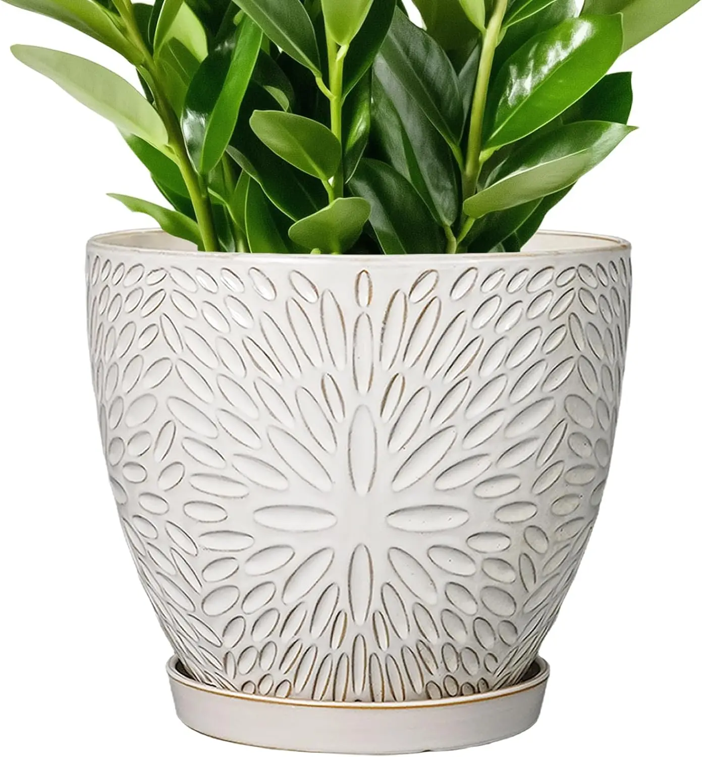 

10 Inch White Ceramic Planter with Drainage Hole and Saucer for Indoor Outdoor Plants
