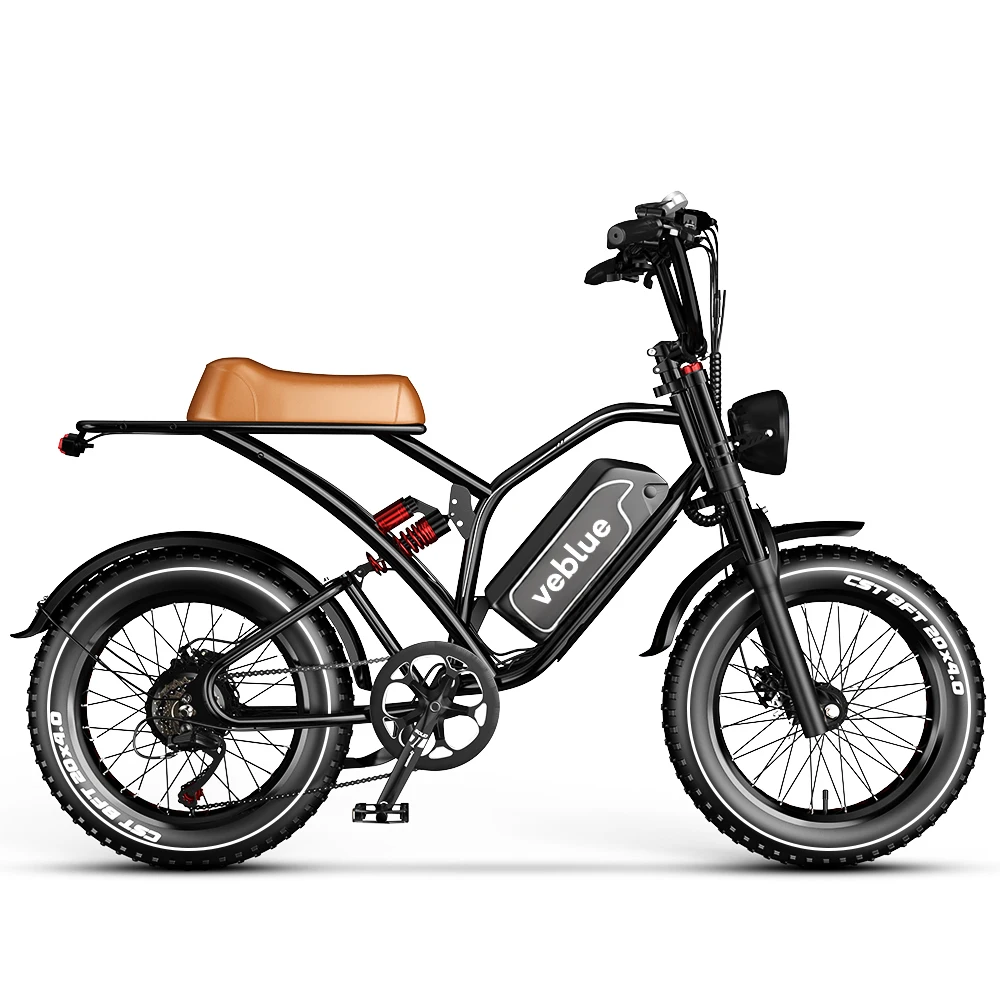 

veblue Electric Bike for Adults 750W Motor 48V Battery 50-80Miles Ebike