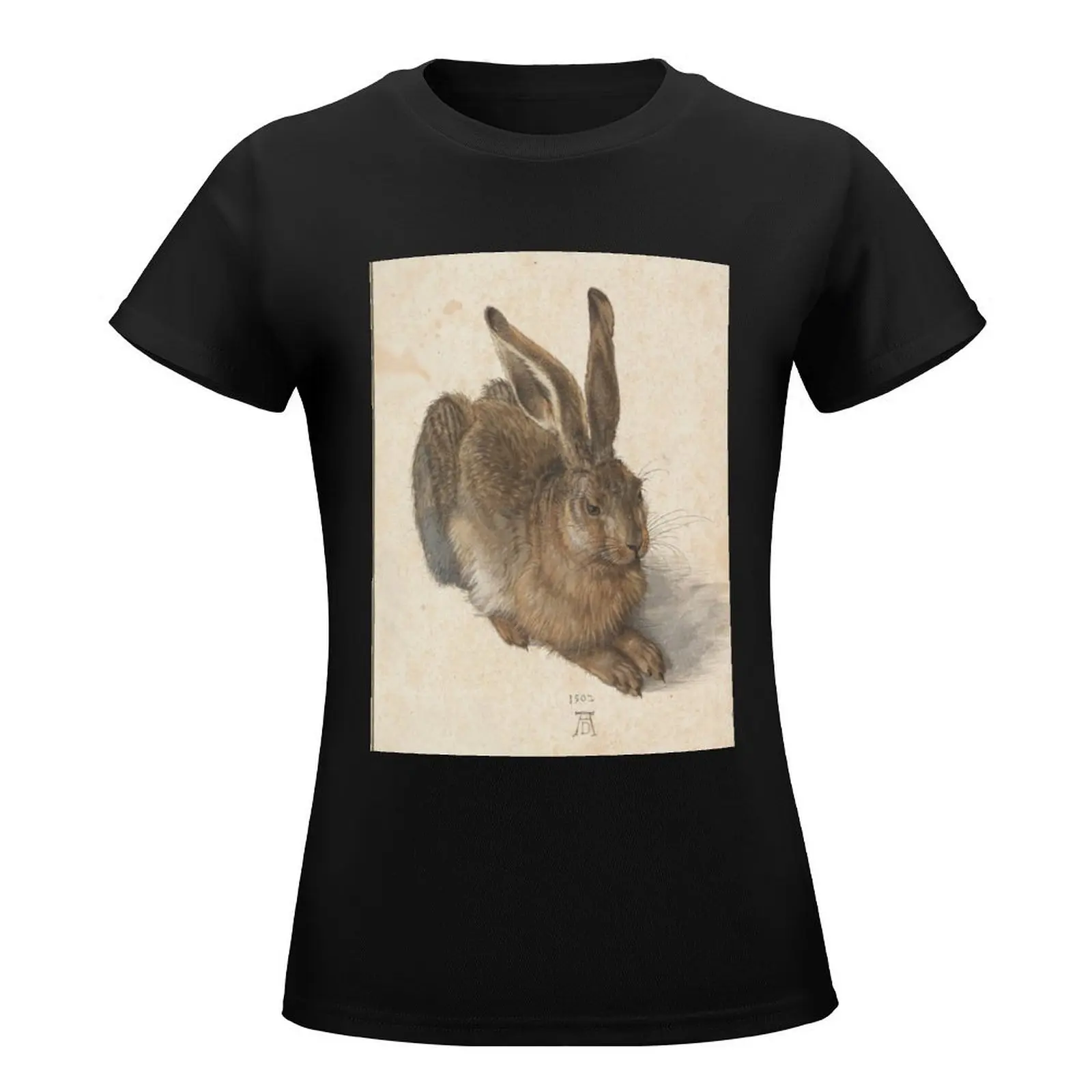 Albrecht Durer's Young Hare I T-Shirt blanks Female clothing tight shirts for Women