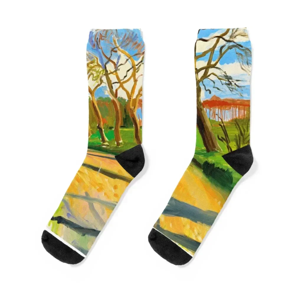 David Hockney Vintage Art David Hockney Artwork Socks hiking luxury Socks Men Women's