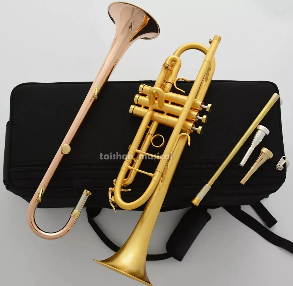 

Двойные труба-флейта 2026 года, с отделкой из матового 24-каратного золота, с двумя съемными колокольчиками, в кейсе, 27