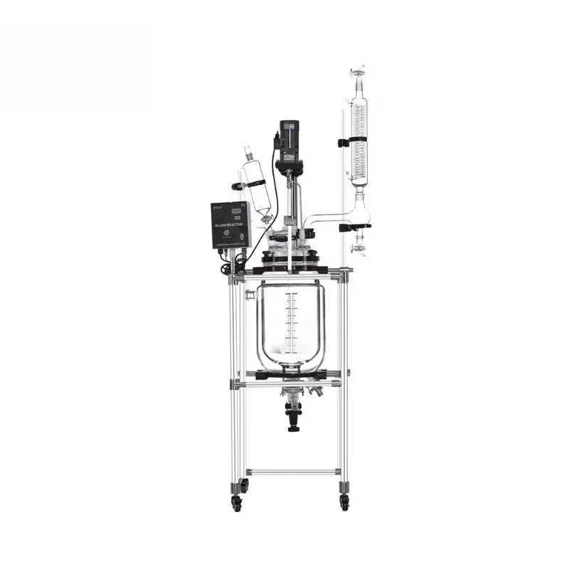 20L Hydrolysis Jacketed Glass Reactor for Biochemical Industry - Laboratory Equipment