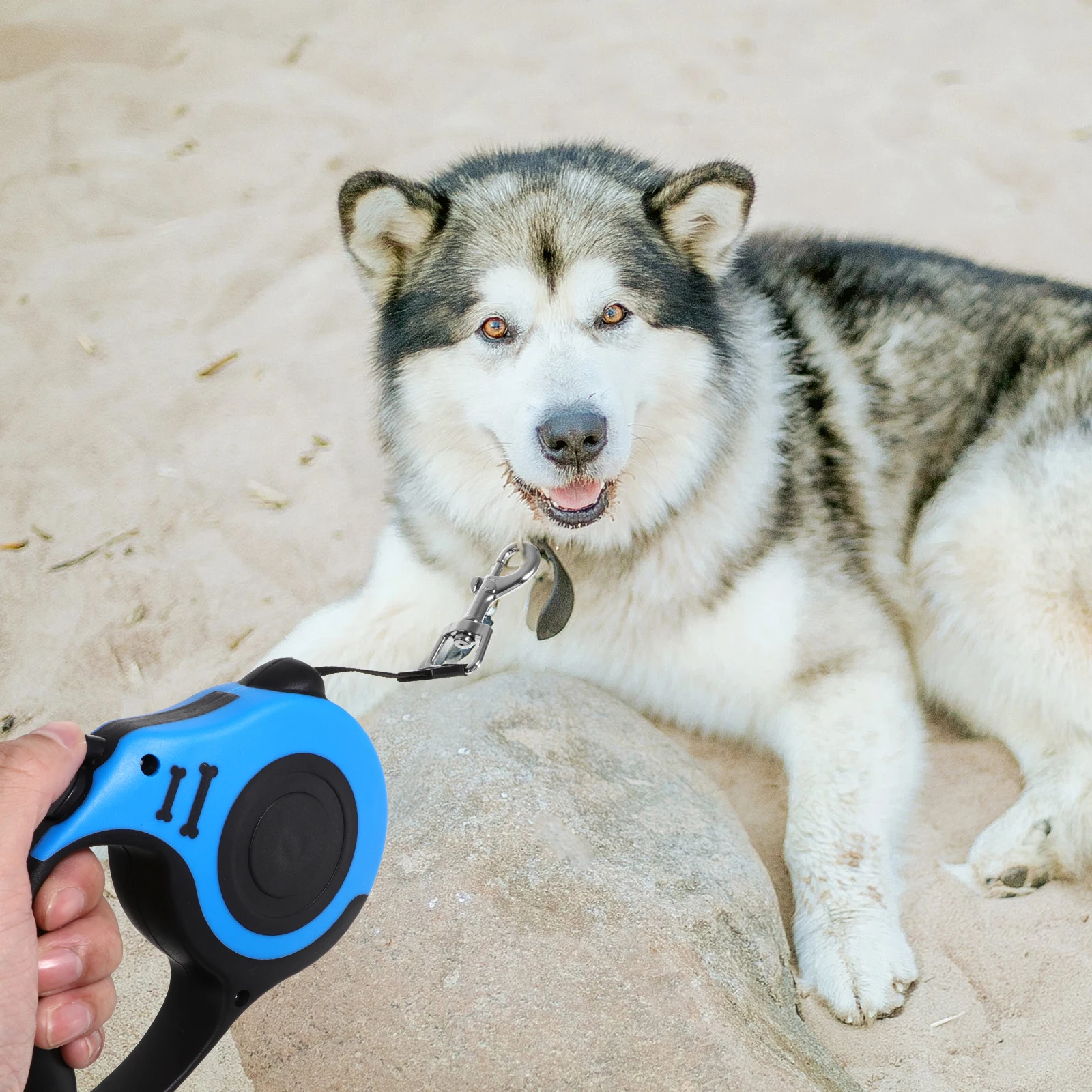 

Retractable Leash Pet Traction Rope Dog Leashes Abs Plastic Telescopic Durable Non Slip Adjustable Length Pet Supplies