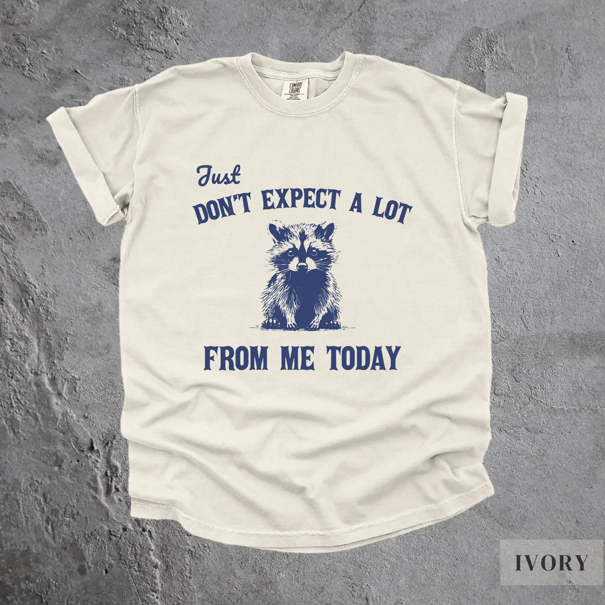 Vintage Don'T Expect A Lot From Me T Shirt Funny Raccoon Gift Retro Washed Lazy Meme Y2K Boho 90S Aesthetic