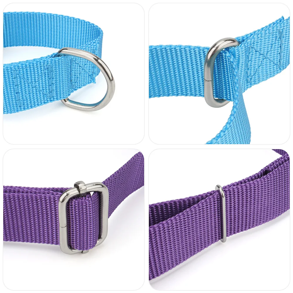 Martingale Collar for Dogs，Dog Collar with Durable Metal Buckle Adjustable Nylon Pet Collars Prevent Slipping Out Puppy Collars