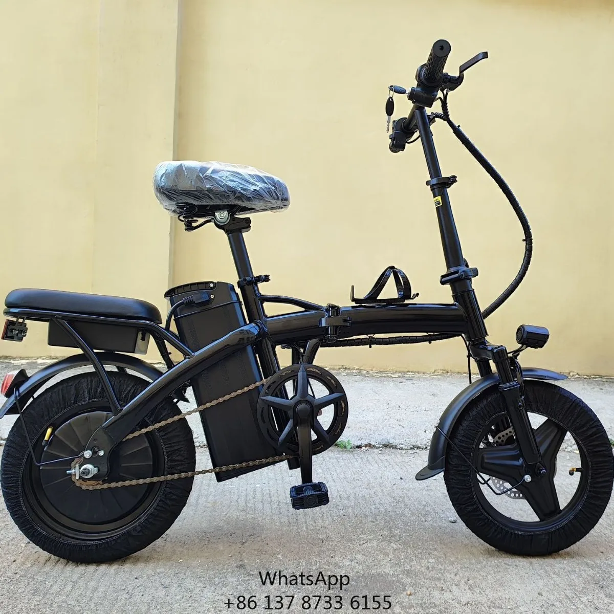 

Mini Style Folding Bike 48V Lithium Battery Rear Hub Motor Portable & Powerful