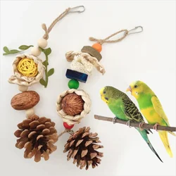 Bird Chew Toy Chewing Small Ratten Balls for Chinchillas Guinea Pigs Squirrels Timothy Oral Care Improves Dental-Health