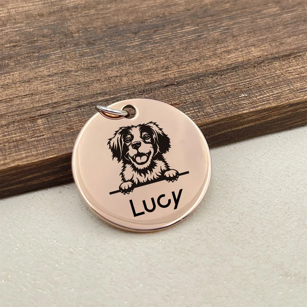 Personalized Pet ID Tags Bone Stainless Steel Engraving Puppy Anti-lost Collars Tag Dog Cat Name Pets Dog Accessories Supplies