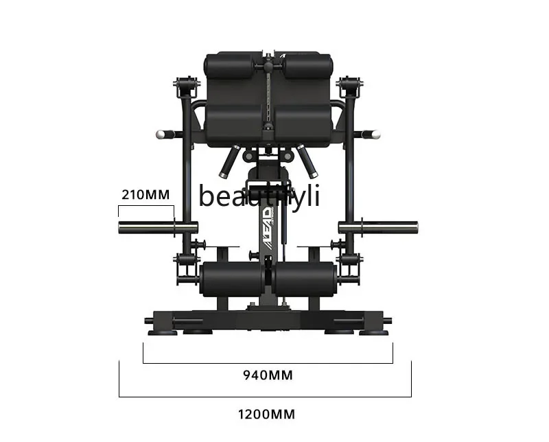 

Hip Leg Comprehensive Trainer Back Hyperextension Studio Professional Physical Strength