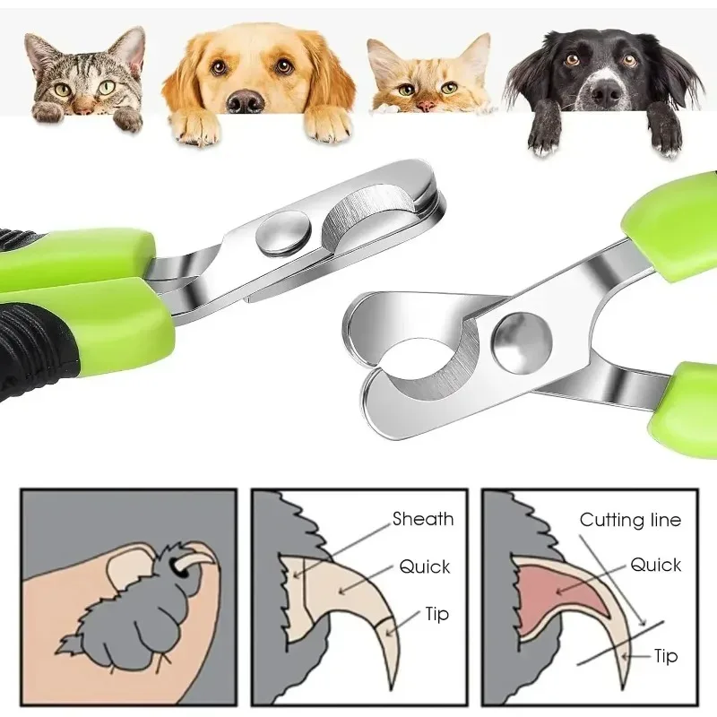 Hot Sale Cat Nail Toe Claw Clippers Trimmer Grooming Tools Animals Pet Supplies Stainless Steel Dog Nail Clipper Scissors image 3