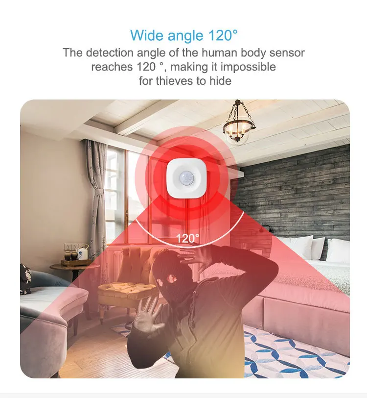 Human Body Infrared Sensor Motion PIR Sensor Intelligent Sensor