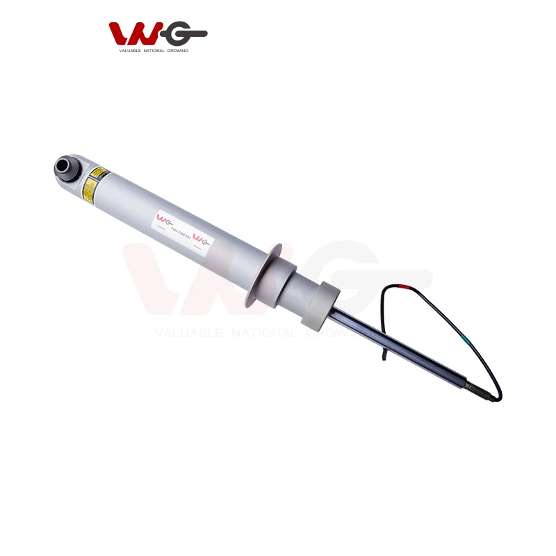 24-month Warranty Electric Shock Absorber For BMW F10 M5 Rear Left And Right Shocks OE 3352 2284 047