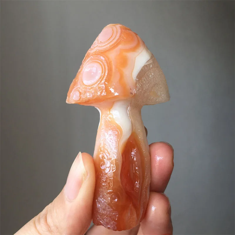 Agate Sardonyx Naturelle, Specimen Minéral Champignon Œil d'Alxa Gobi, Cristal Énergétique, Pierre de Guérison Chakra Reiki, Décoration de Jardin, Cadeau