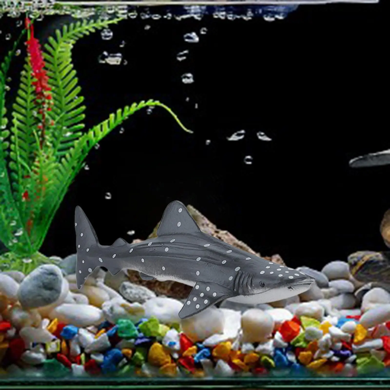 6x الحوت تمثال واقعية مفصلة عمل الشكل الحرف البلاستيكية نموذج ديكور المنزل ألعاب تعليمية مبكرة للفتيات الفتيان سن 3 + أطفال