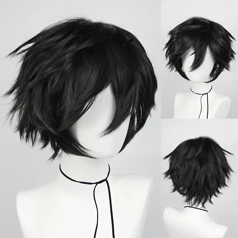 Men's Short Synthetic Straight and Fluffy Wig, Heat-Resistant, Birthdays, Heat-Resistant Fiber, Role-Playing