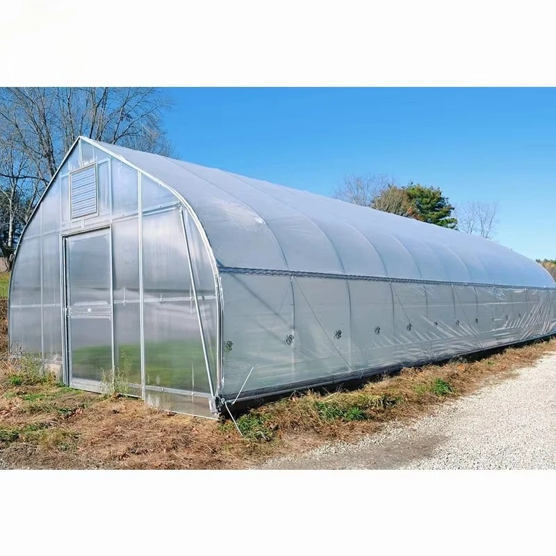 Heavy Duty Windproof Galvanized Steel Greenhouse Single-span Agricultural UV PE Film Tomato Grow Tent Garden Walk-in Tunnel