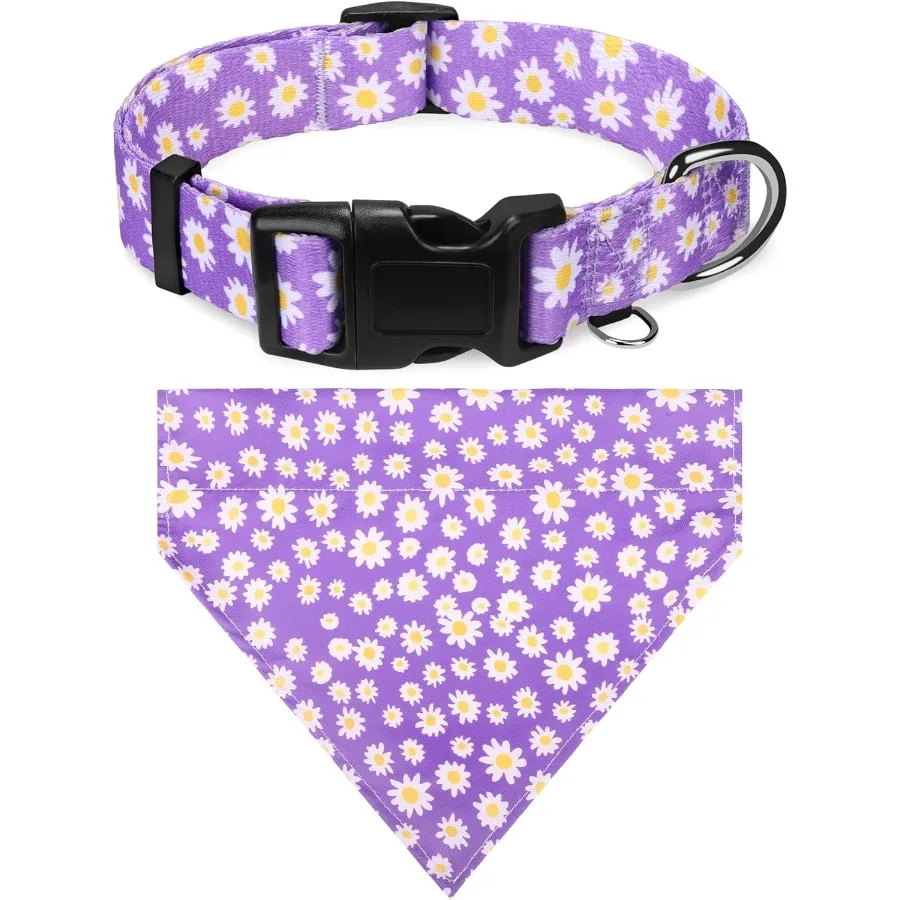 Dog Collars And Bs …