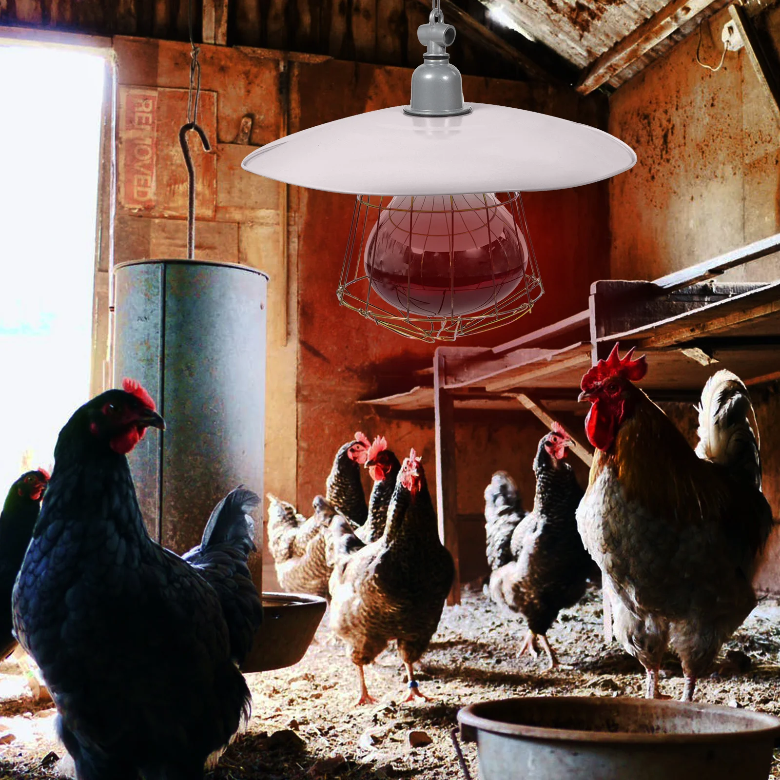 

Livestock Heating Lamp High-Temperature Resistant Anti-Scald Protection For Chickens Sheep Geese Ducks Dogs Pigs Livestock