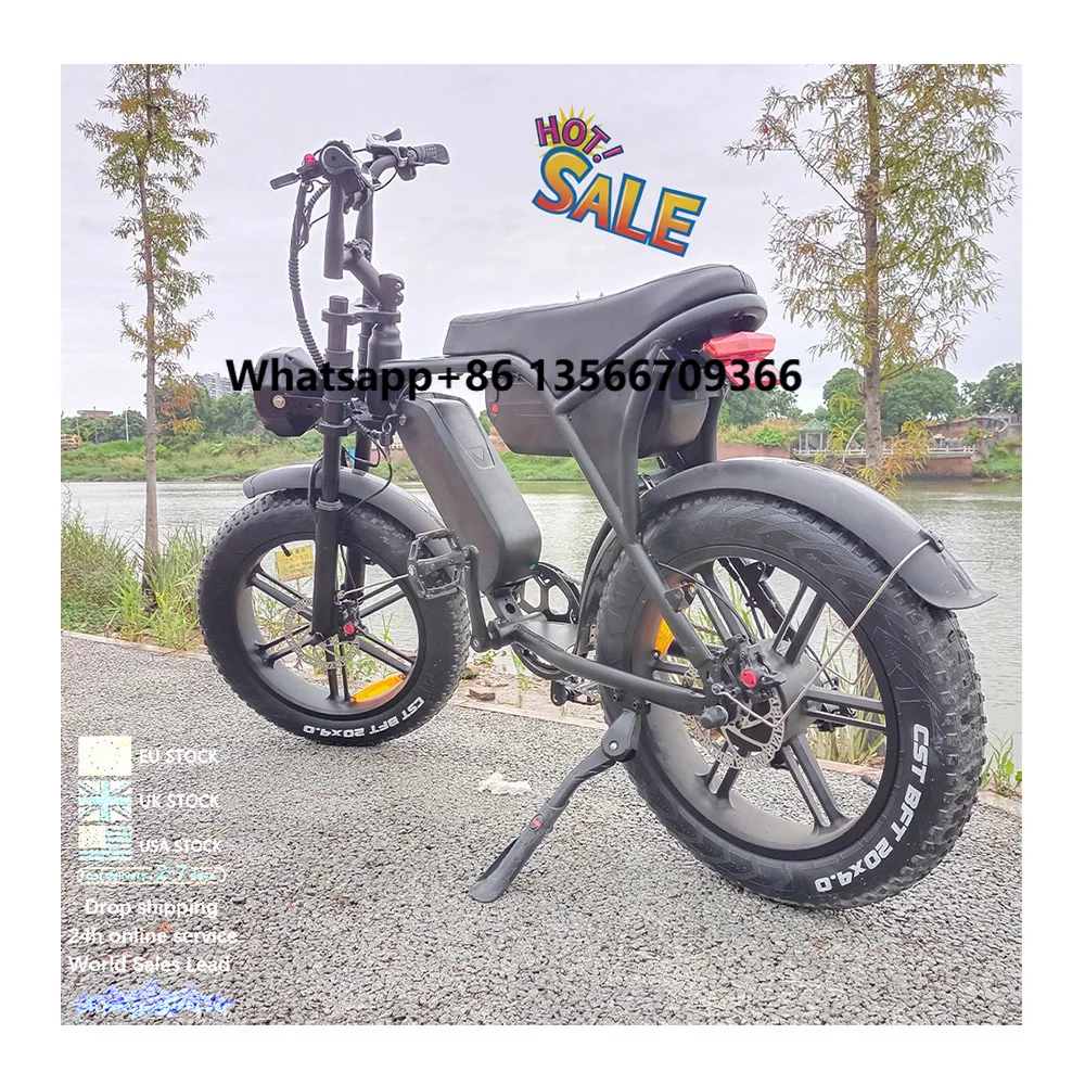

C80 Max Double Cell Fat E Bike Lithium off Road Mountain Ebike Electric Bicycle Fat Tyre Electric Bike C80 Two-seater