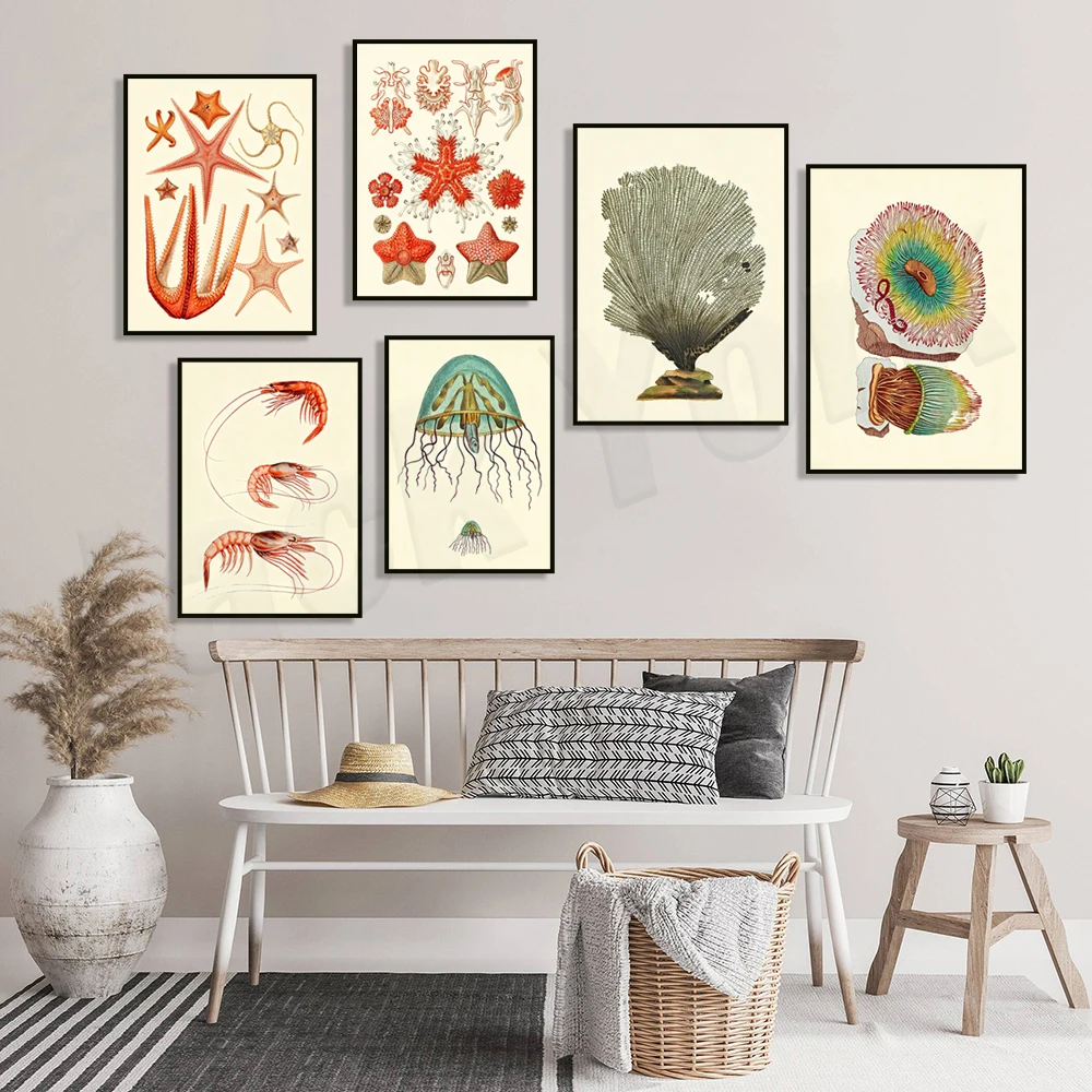 Coral octopus, seashells, shrimp, starfish canvas poster, retro ocean coast marine science beach house bathroom home decoration