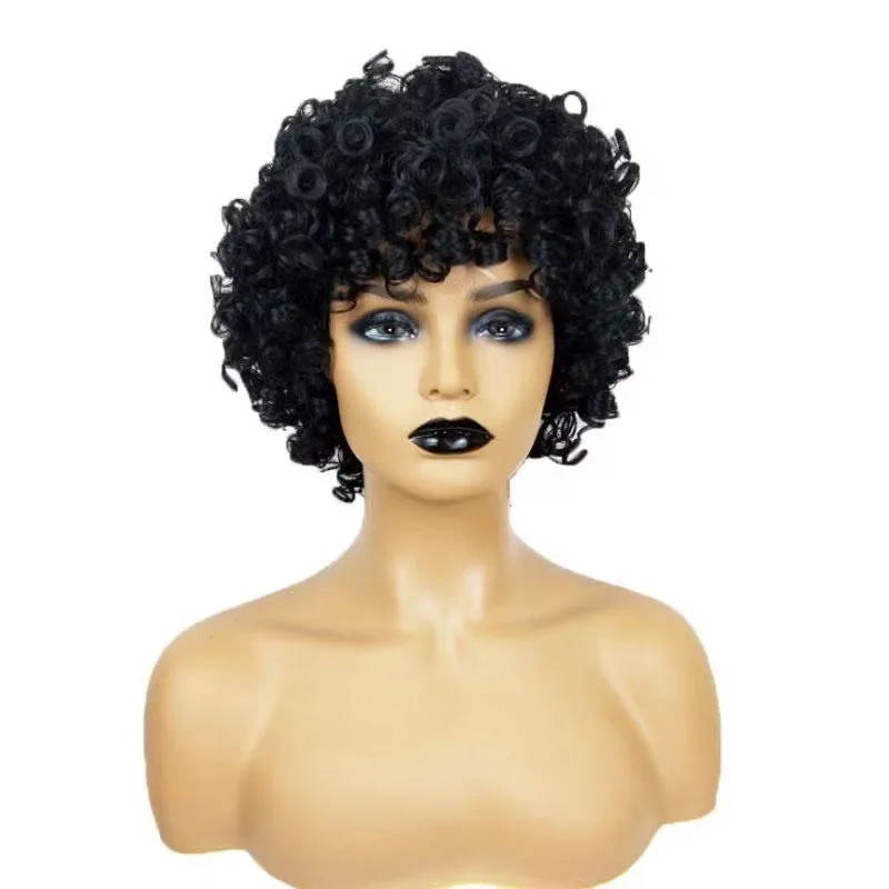 

New African Women's Wig Short Curly Afro European and American Style Synthetic Hair Wig