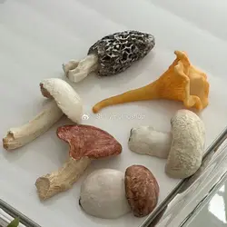 Mushroom Vegetable Chopstick Cutlery Holder Colorful Resin Knife Fork Spoon Coaster Holder Mushroom Umbrella Vintage Ornament