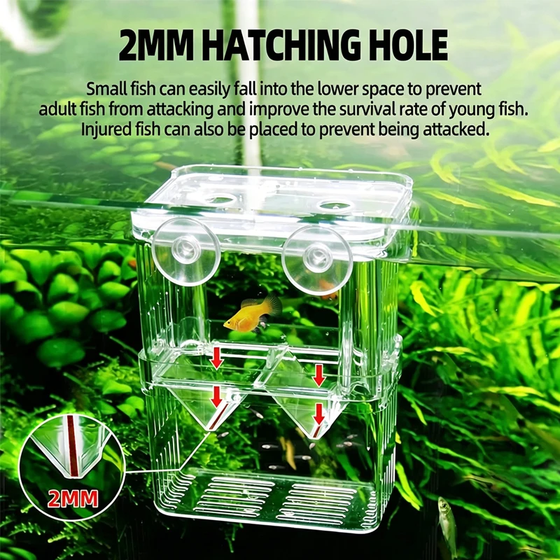 Hochtransparente Acryl-Fischzuchtbox Aquarium-Zuchtbehälter für Kleine Fische Betta-Brutkasten mit Saugnapf – Detail 6
