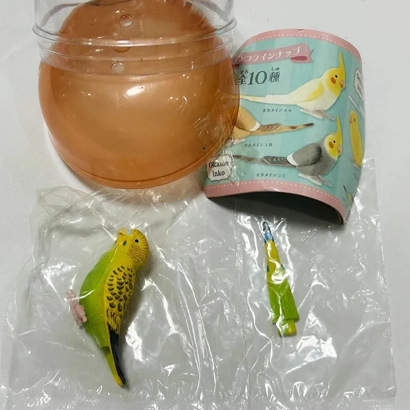 SHINE-G Japan Gashapon Figure Cute Kawaii Parrot Lovely Life Miniature Figurine Anime Gachapon Capsule Toys Desktop Decor