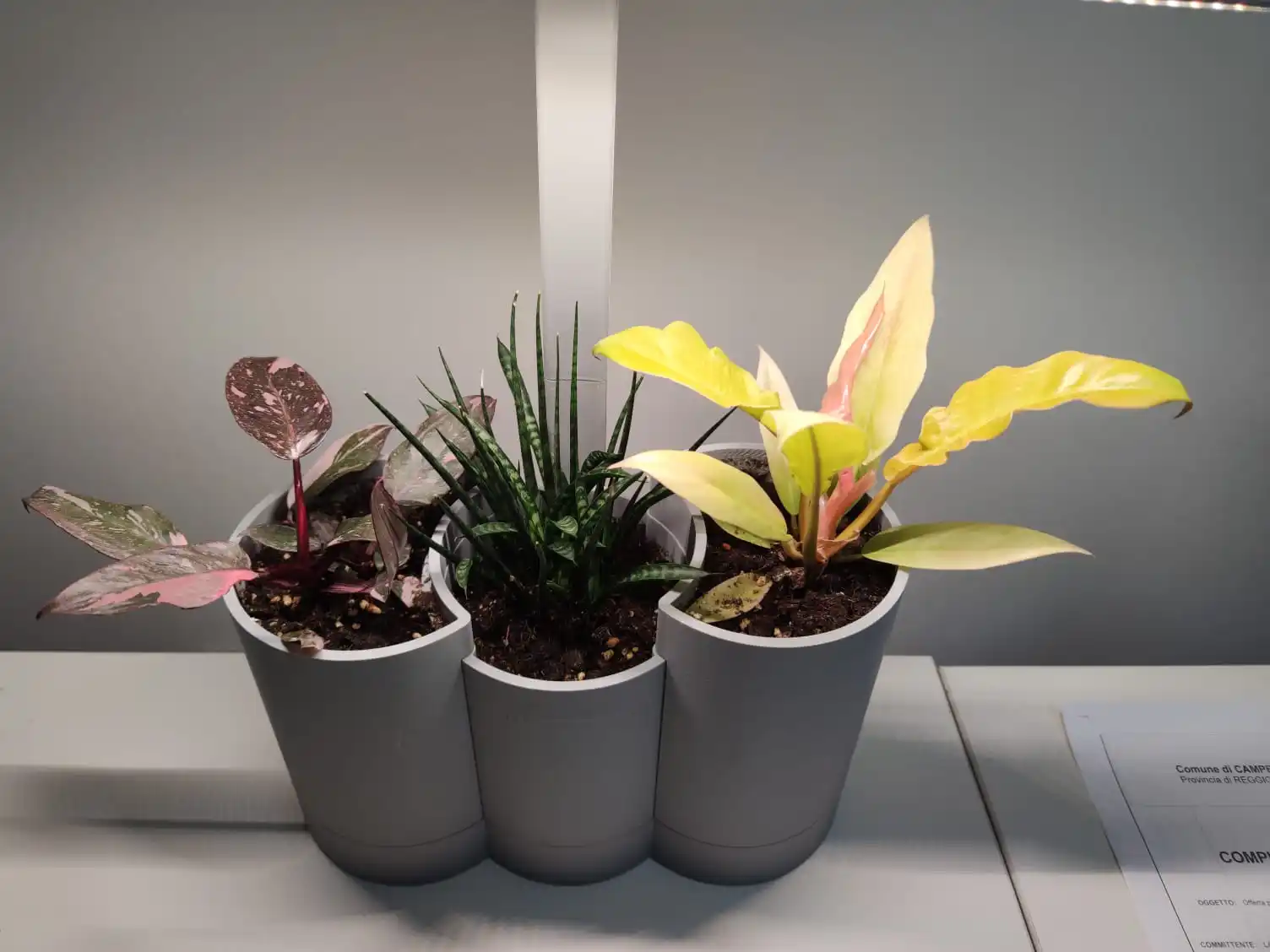 Good End Price High-Efficiency Silver Color Smart Led Strip Light For  Promoting The Growth And Health Of Your Plants