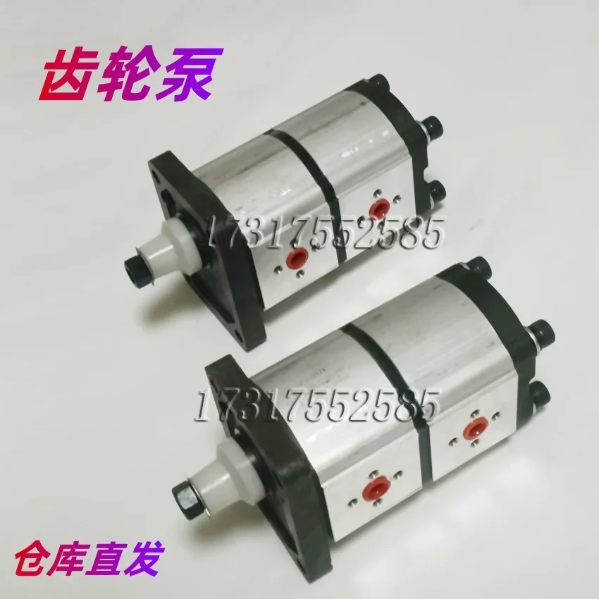 Sales SUORUI CASAPPA HCHC Sunny VOUTH And Other Brand Gear Pumps