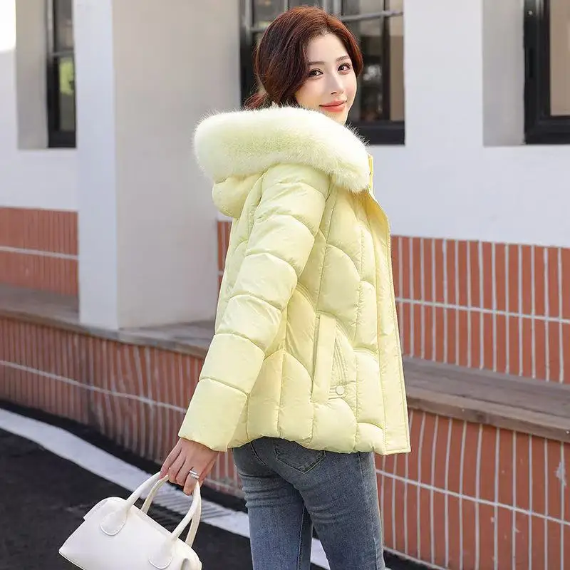 2025 Nuova giacca invernale da donna Parka Moda caldo piumino imbottito in cotone Cappotto corto da donna con cappuccio Overwear Puffer Top