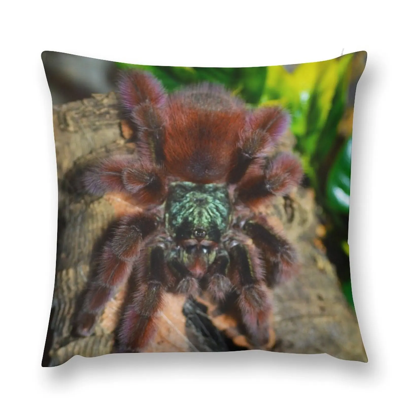 Martinique Pink Toe Tarantula Throw Pillow Anime Cushions Cover pillow