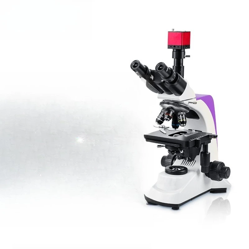 Biologisches Mikroskop, professionelles Laborunterricht, hochauflösende Lupe