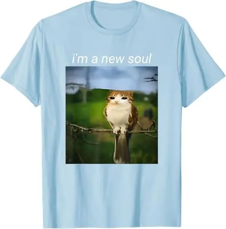 เสื้อยืดลายมีมตลกๆ แมวฮูก มีม Brainrot Gen Alpha มีม Y2k Ktty Gen Z ตลกขบขัน ลายกราฟิก แฟชั่น ทีเชิ้ต คำพูดตลกๆ