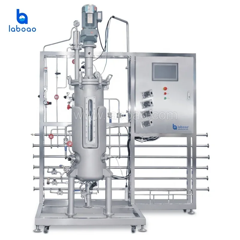 200l Bioreactor Cell Culture Biofilm  200 L Equipment