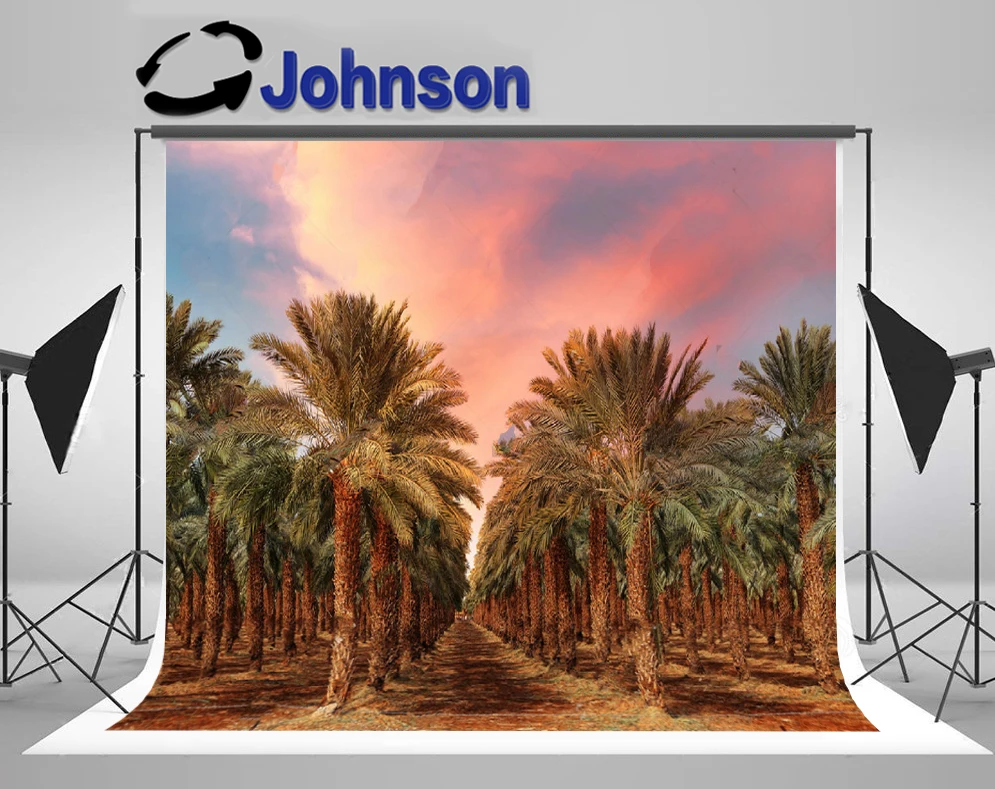 

JOHNSON Tropical Palm Tree Plantation Sunset photo backdrop High quality Computer print wedding background