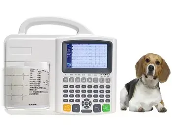 Veterinarian Medical Diagnostic Digital Electrocardiograph 3 Channels Veterinary Ecg Machine