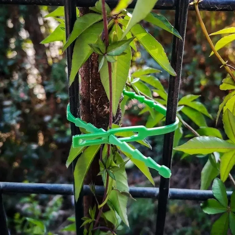 ربطات كابل نباتية بلاستيكية قابلة للتعديل، ربطات عنق ذاتية القفل قابلة لإعادة الاستخدام، ربطات كابلات نباتية للحديقة، مشابك مشبك الطماطم الجذعية #4