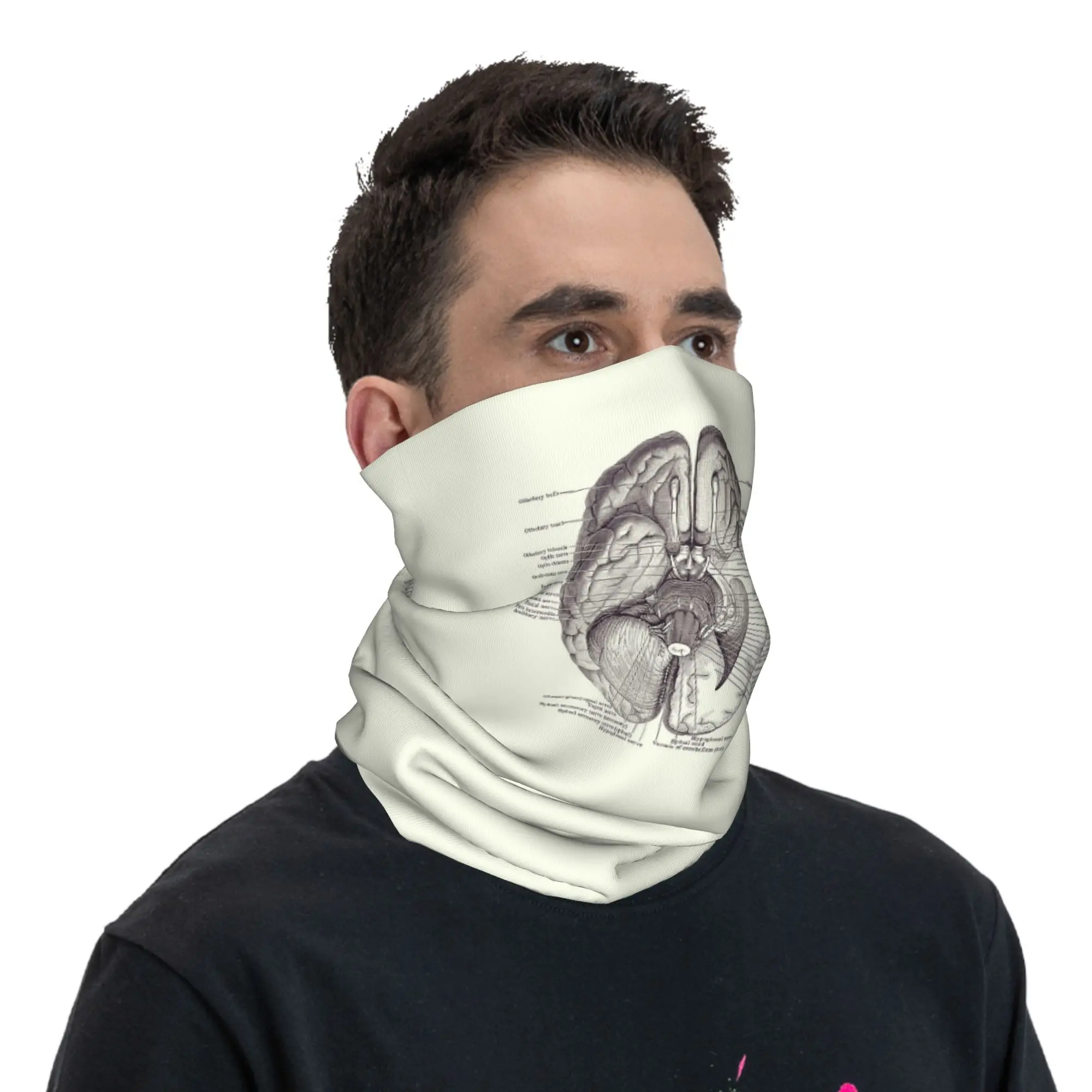 مخطط الجهاز العصبي للدماغ - وشاح ملفوف مطبوع عليه تشريح عتيق للرقبة بالاكلافا الدافئة لركوب الدراجات