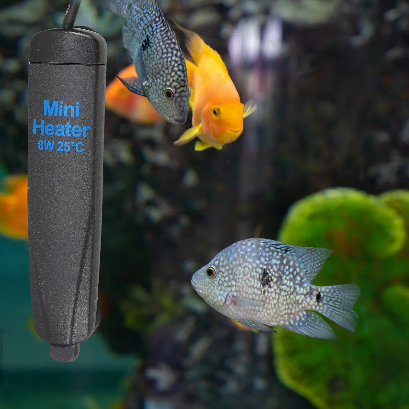 

Small Aquarium Fish Tank Heater Constant Temperature Submersible Heating Rod Overheat Protection Energy Saving Fish Bowl Heater