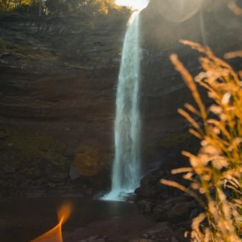 HGLRC C1 télécommande intégrée 500 mW ELRS 2.4G TX Module avec Dongle pour avion RC FPV Drone pilote débutant