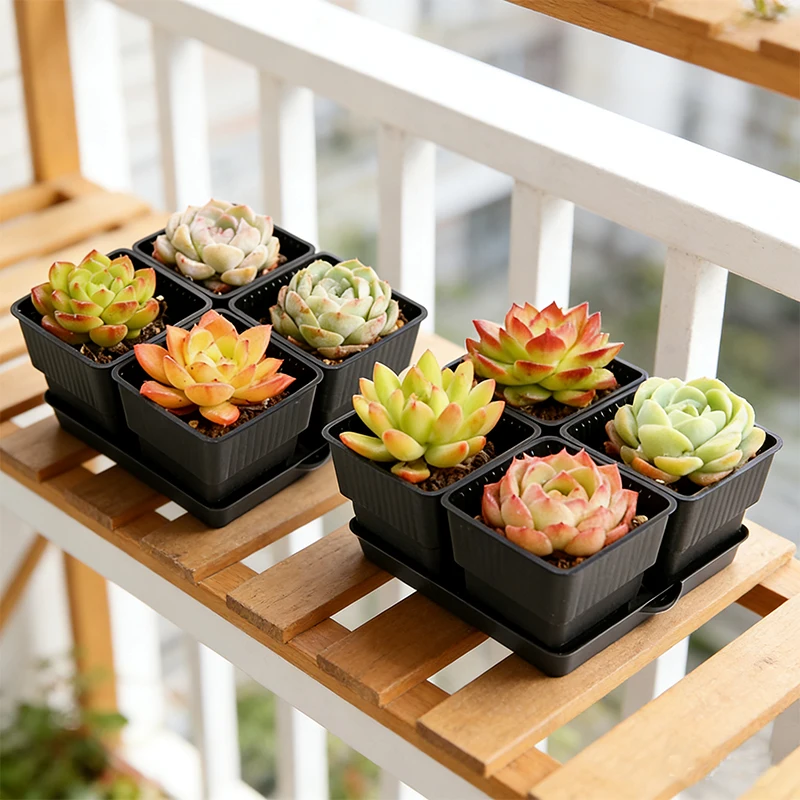 أصيص شبكي أسود قابل للتنفس وصديق للصرف، أوعية عصارية لزراعة الصبار - مثالي للمبتدئين