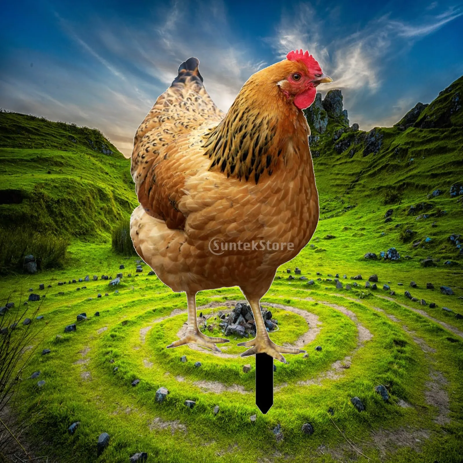 Chicken Yard Art Sign with Metal Ground Stake for Garden Fence Backyard Decoration
