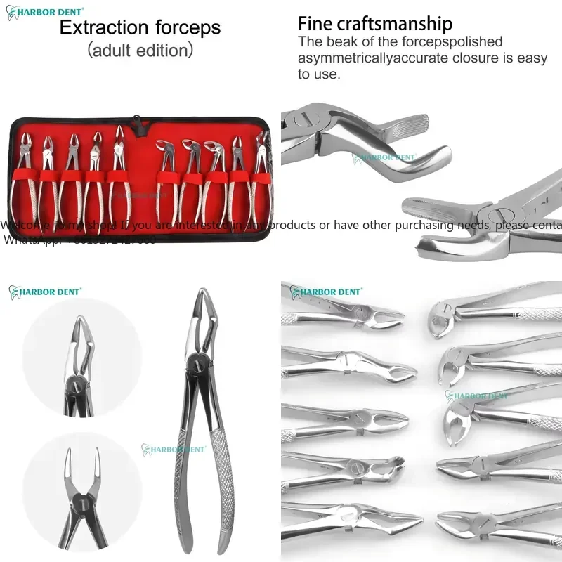 2026 Adult Stainless Steel Extraction Tools 10 Pcs/Pack Extraction Forceps Kit