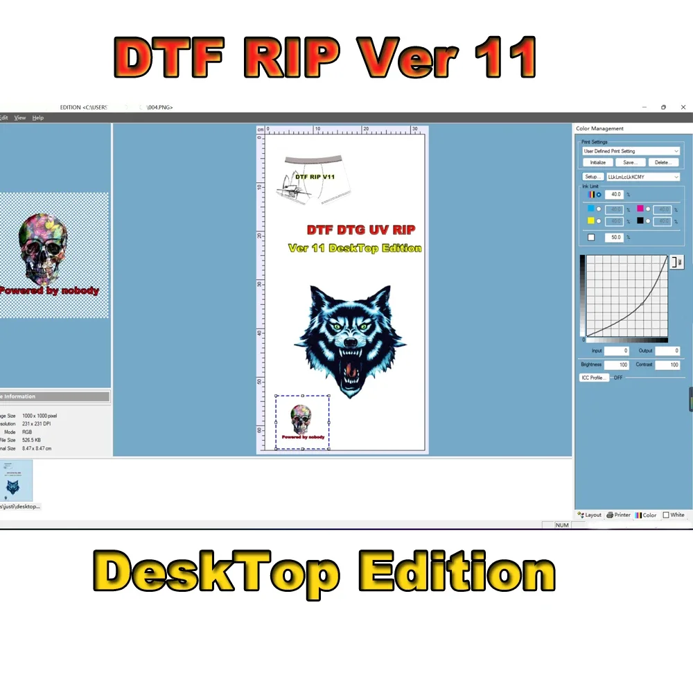 Ver 11 DTF RIP 11 Software Dongle Key Version 11 For Epson XP-15000 L1800 L805 R1390 P700 P900 Dtf Printer Rip Desktop Edition