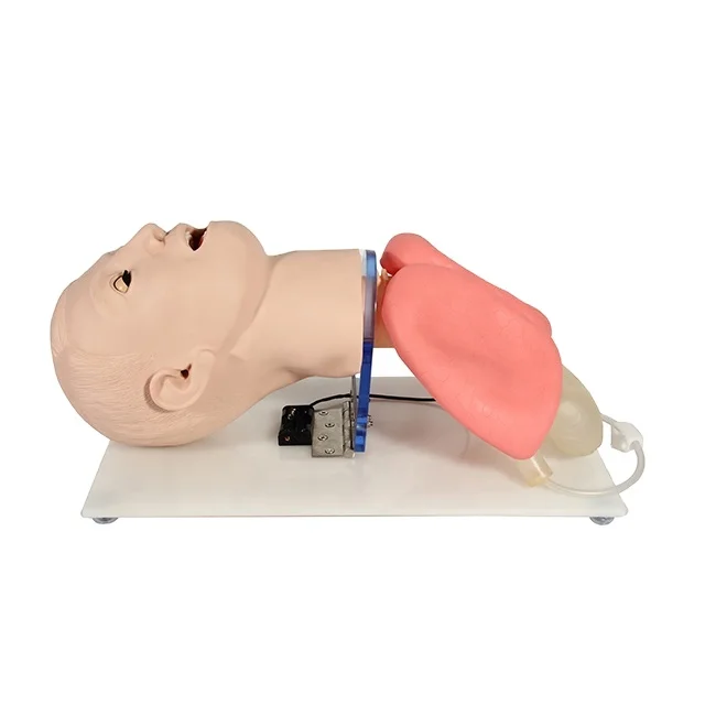 Advance Endotracheal Intubation Training Model