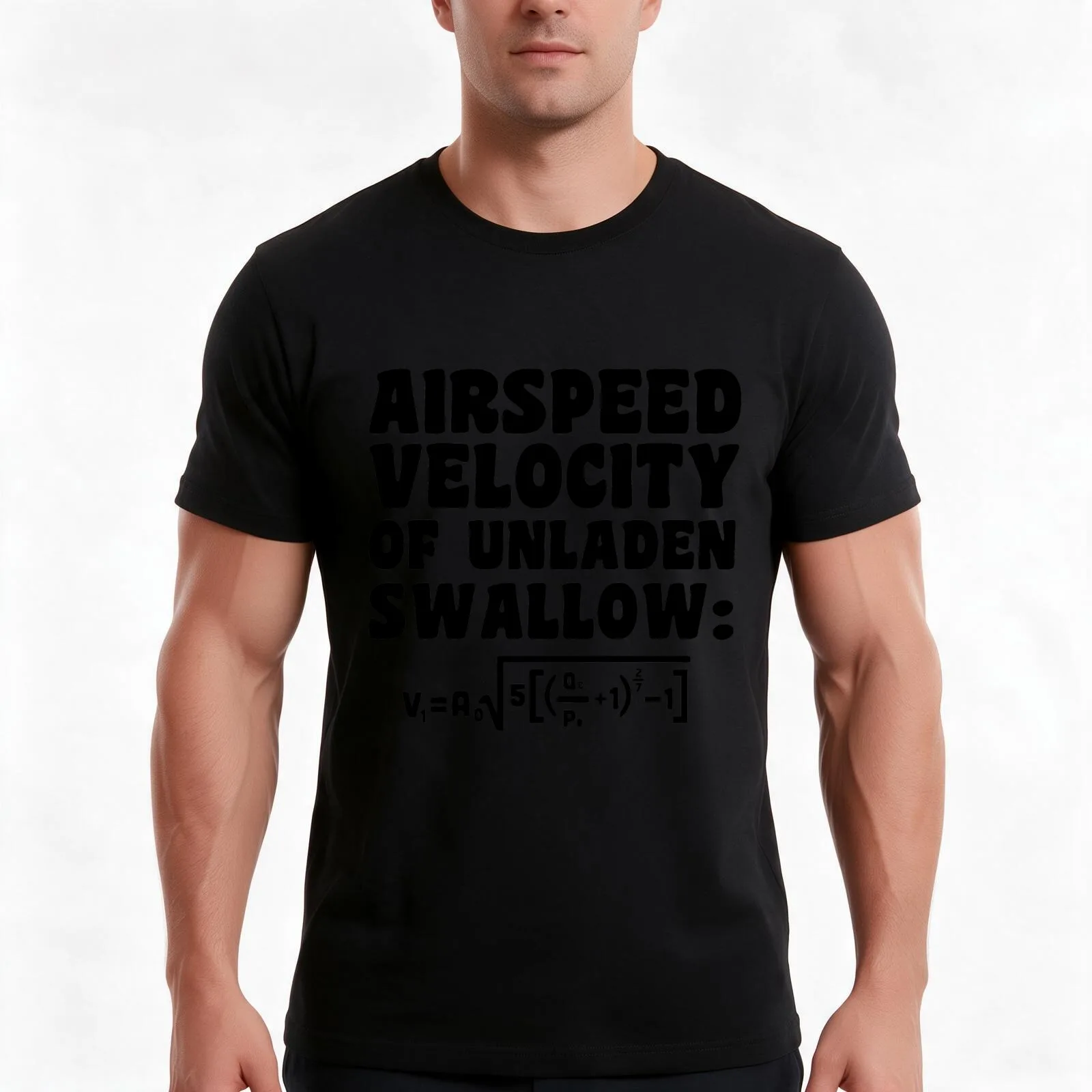 Airspeed Velocity of Unladen Swallow T-Shirt, Summer Casual Cotton Tee, Oversized Streetwear Tops, Vintage Graphic Print