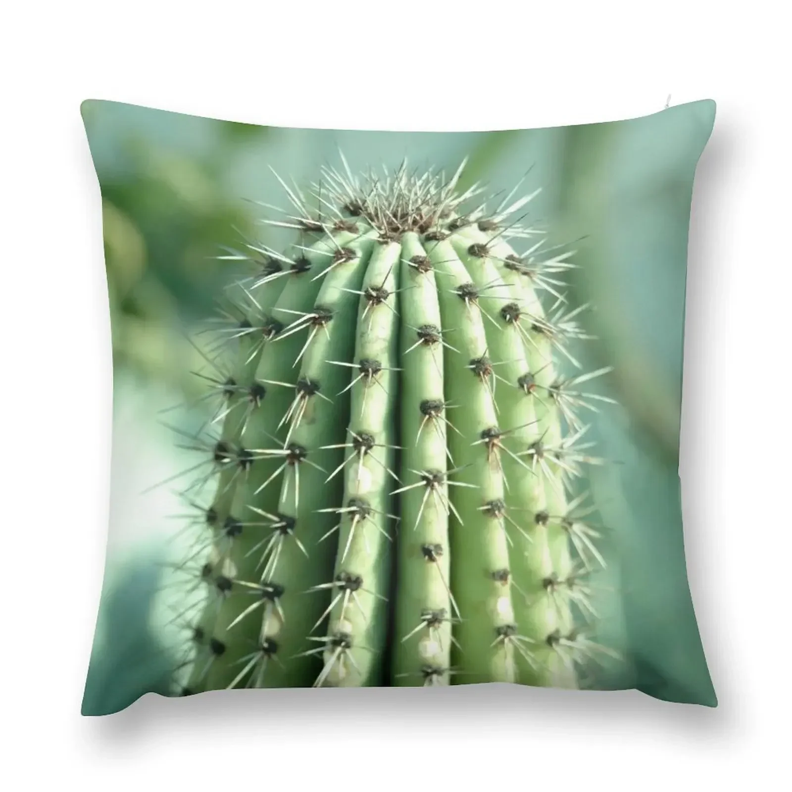 

cactus photography Throw Pillow Elastic Cover For Sofa Pillow Case Cushion Cover Cushions pillow